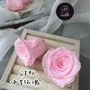 進口永生玫瑰花(4-5公分)