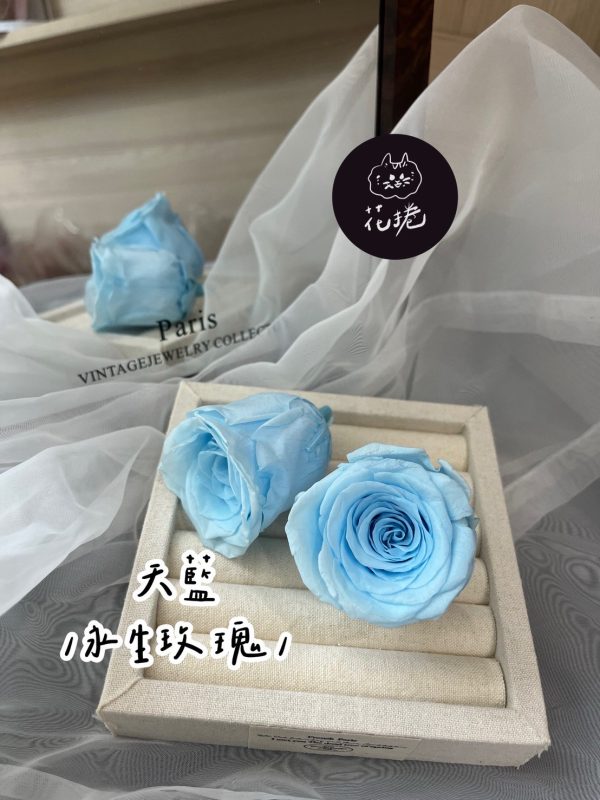 進口永生玫瑰花(4-5公分)