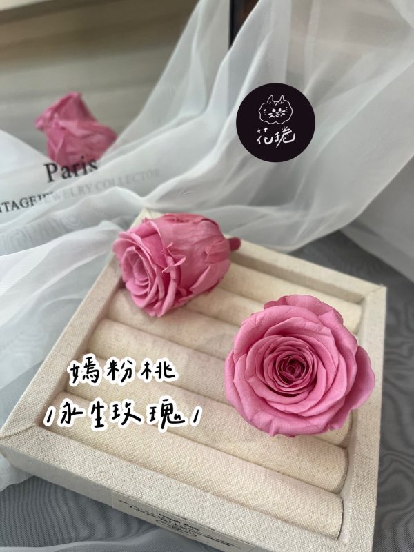 進口永生玫瑰花(4-5公分)
