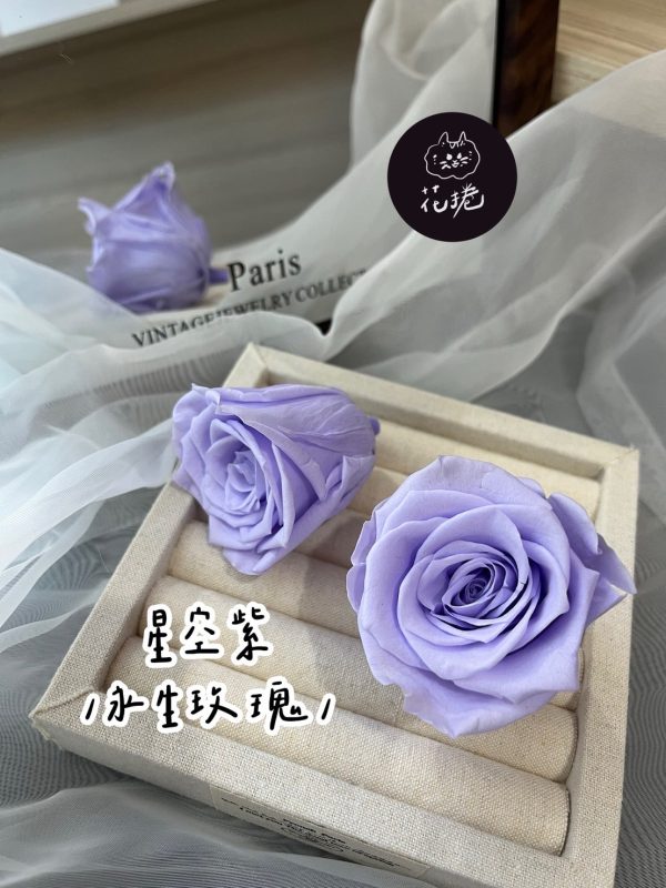 進口永生玫瑰花(4-5公分)