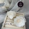 進口永生玫瑰花(4-5公分)