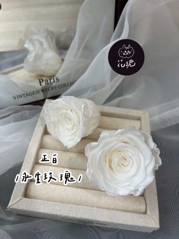進口永生玫瑰花(4-5公分)