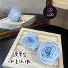 進口永生玫瑰花(4-5公分)