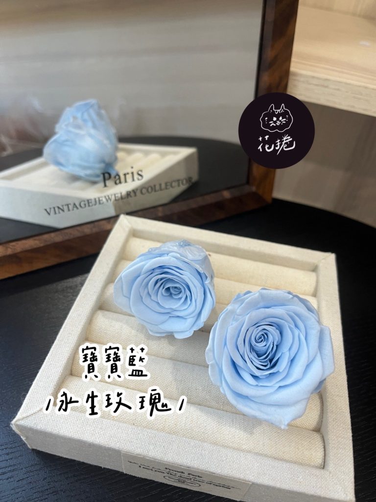 永生玫瑰