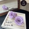 進口永生玫瑰花(4-5公分)