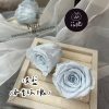 進口永生玫瑰花(4-5公分)