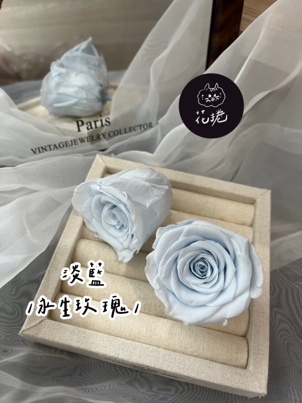 進口永生玫瑰花(4-5公分)