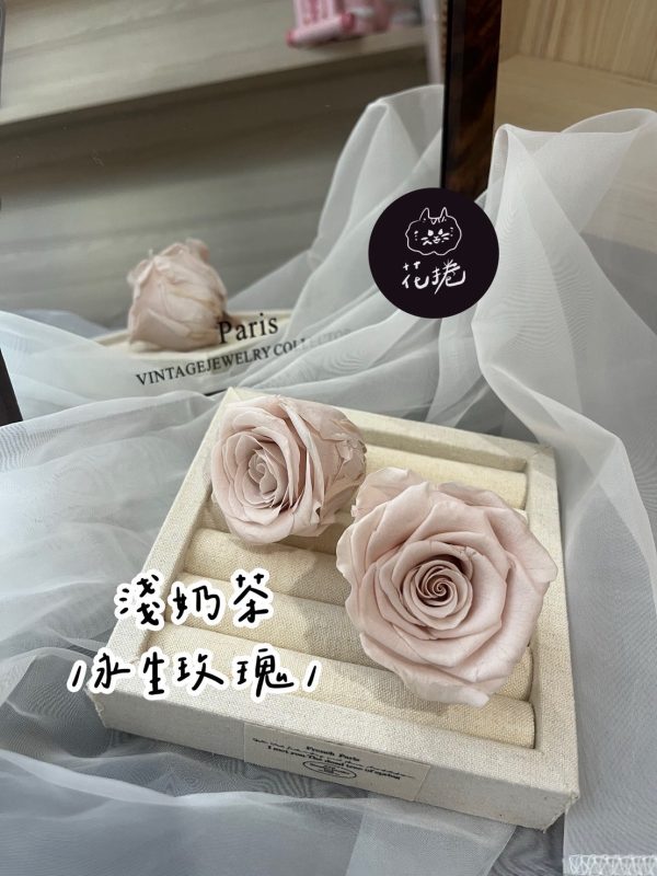 進口永生玫瑰花(4-5公分)