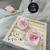 進口永生玫瑰花(4-5公分)