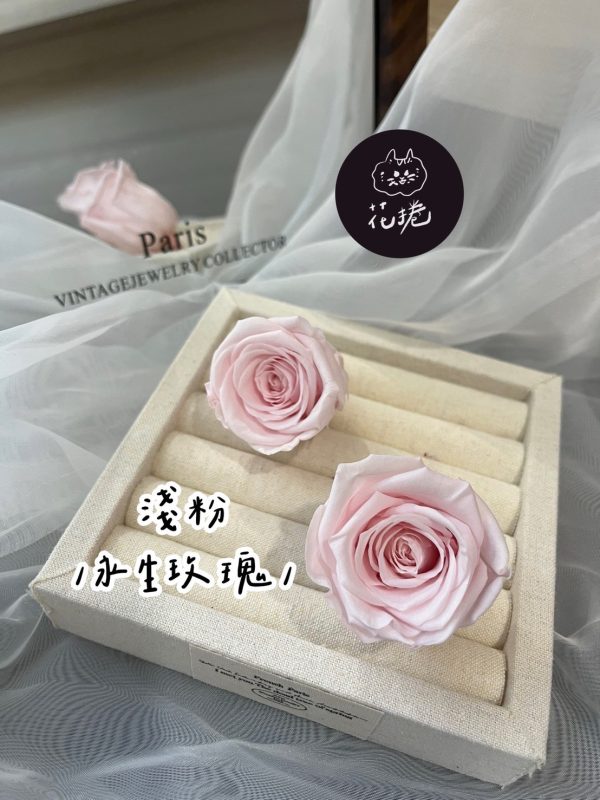 進口永生玫瑰花(4-5公分)