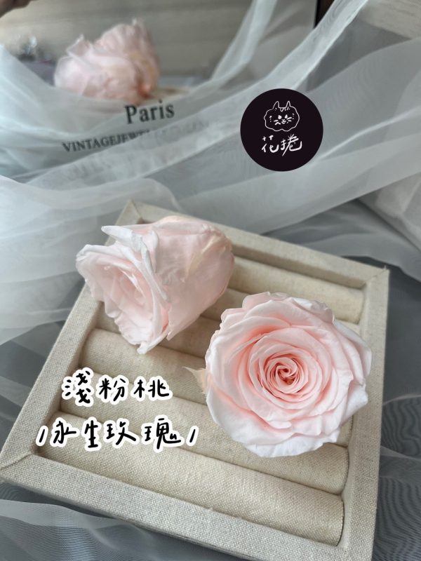 進口永生玫瑰花(4-5公分)