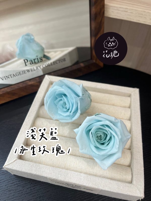 進口永生玫瑰花(4-5公分)