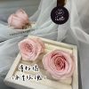 進口永生玫瑰花(4-5公分)
