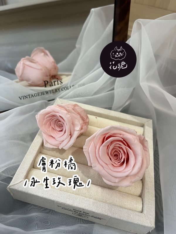 進口永生玫瑰花(4-5公分)