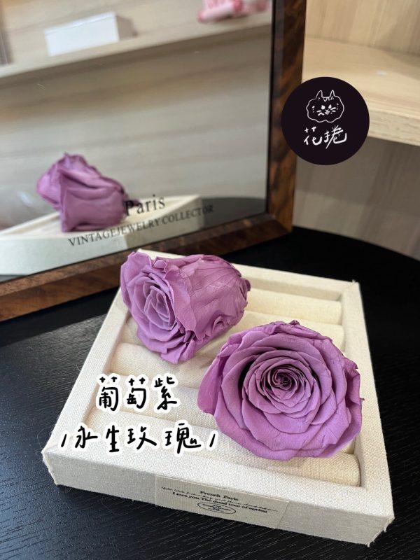 進口永生玫瑰花(4-5公分)