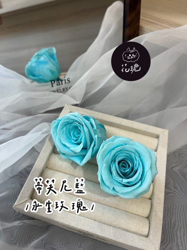 進口永生玫瑰花(4-5公分)