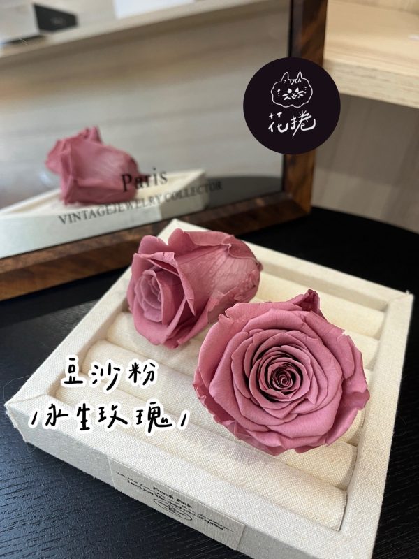 進口永生玫瑰花(4-5公分)
