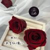 進口永生玫瑰花(4-5公分)