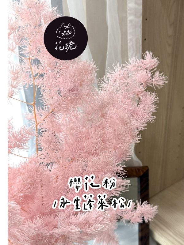 永生蓬萊松