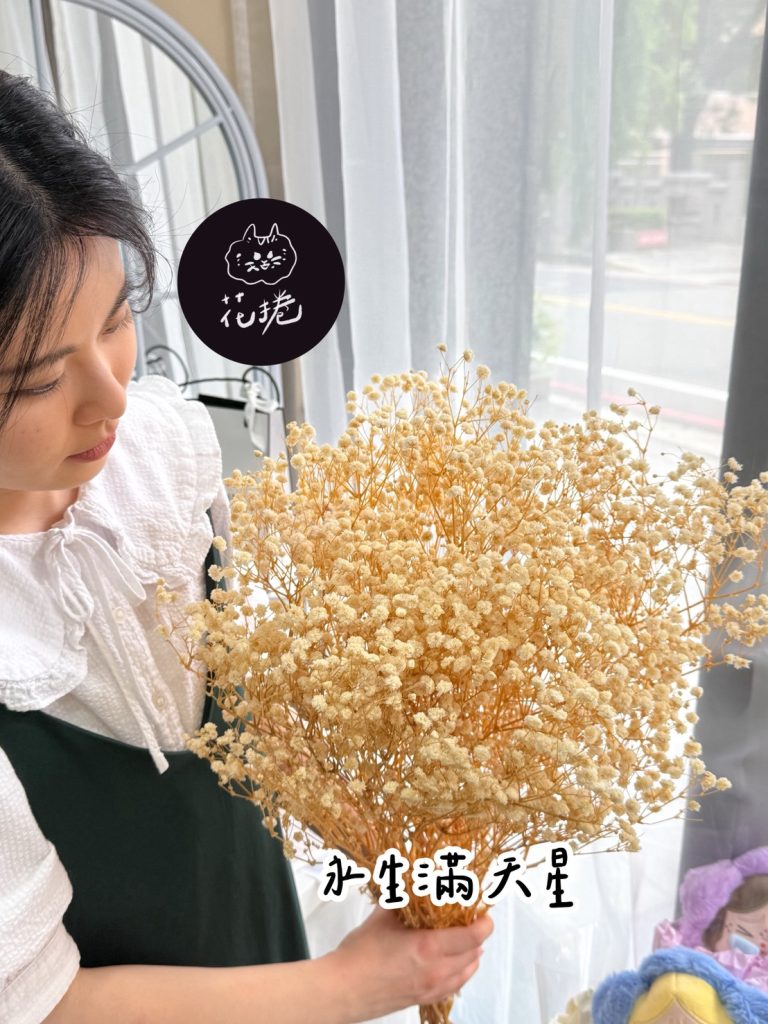 永生滿天星