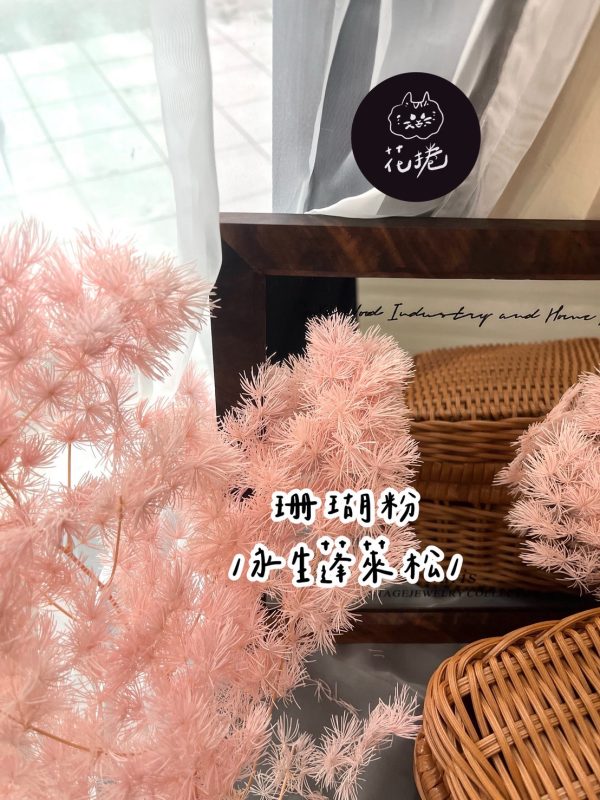 永生蓬萊松