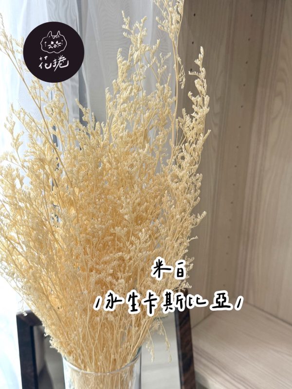 永生卡斯比亞