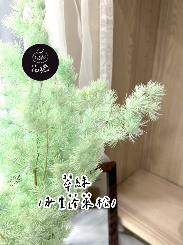 永生蓬萊松