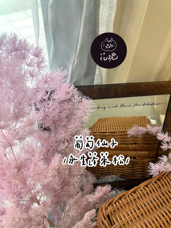 永生蓬萊松