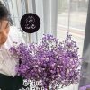永生滿天星