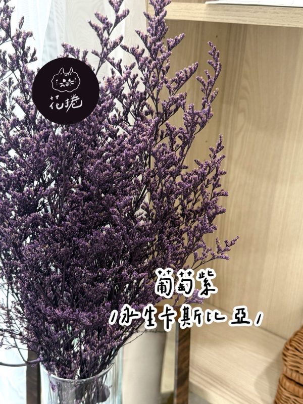 永生卡斯比亞