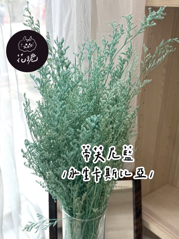 永生卡斯比亞