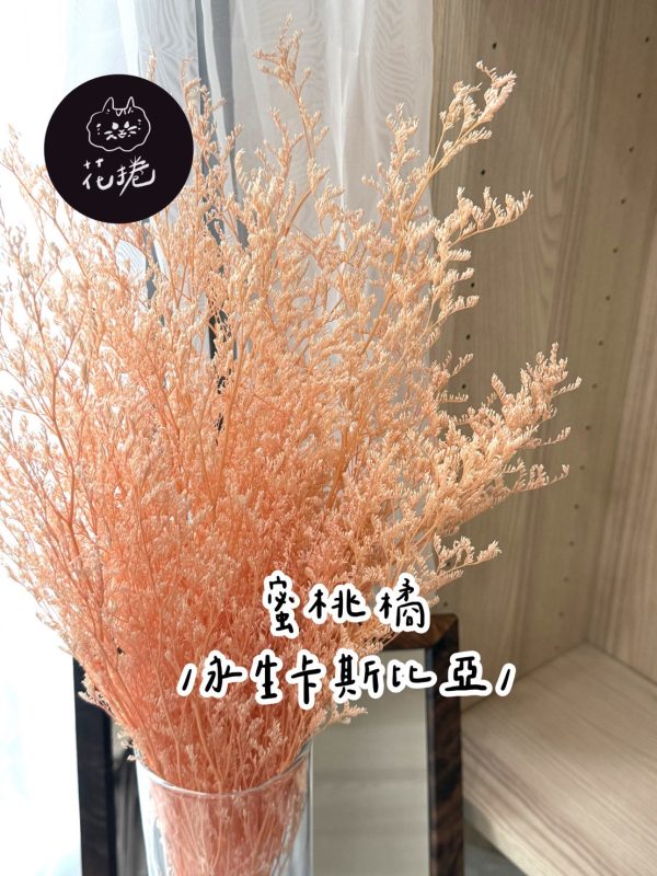 永生卡斯比亞