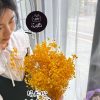 永生滿天星