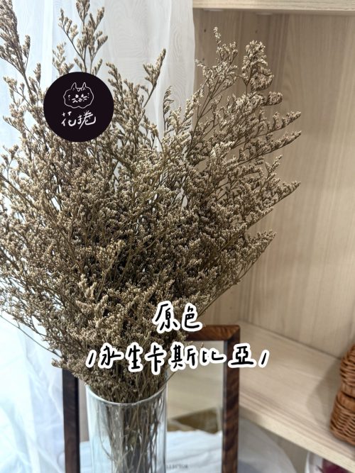 永生卡斯比亞