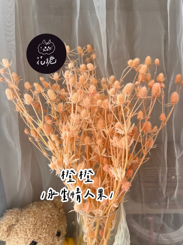 永生情人果
