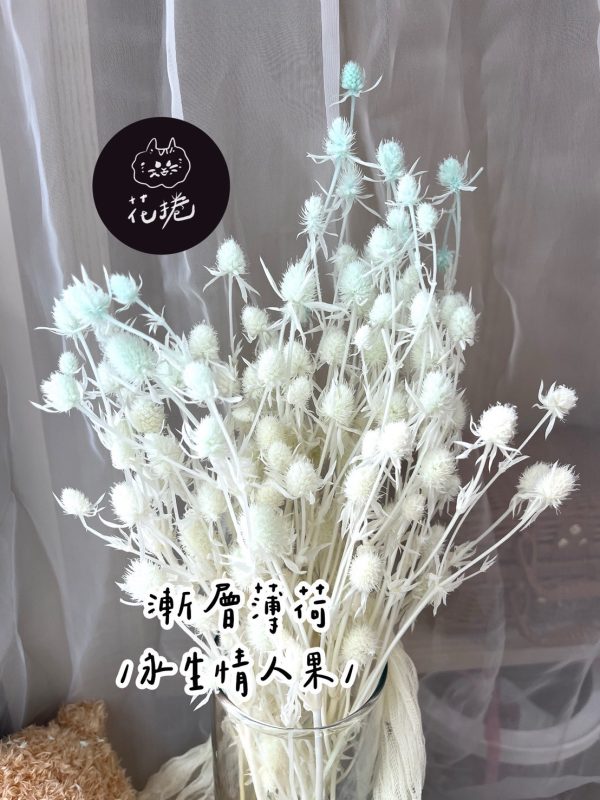 永生情人果