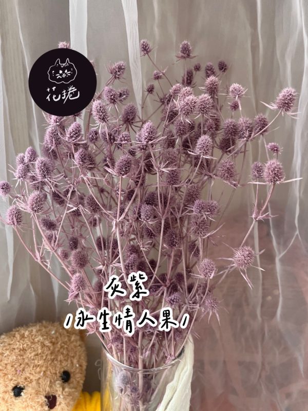 永生情人果
