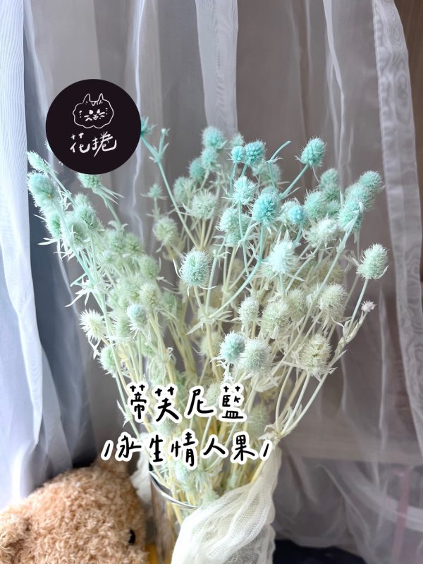 永生情人果